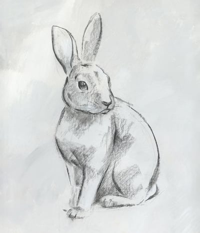 Charcoal Rabbit Wall Art Décor