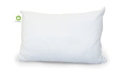 Ghost Faux Down Pillow, Queen Size