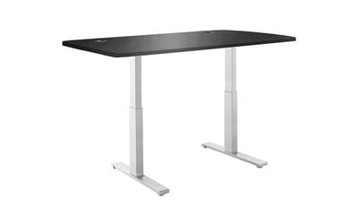 ActiveDesk A56-A13 Smart Standing Desk with Electric Adjustable Height 29-47