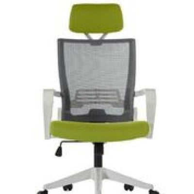 Adjustable Office Chair in Green