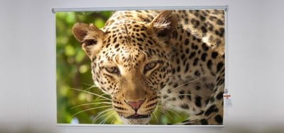 Leopard Roller Shade
