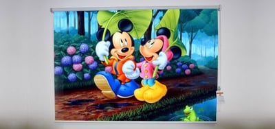 Mickey and Miney Roller Shade