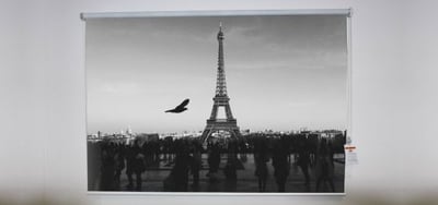 Paris – bird Roller Shade