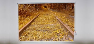 Railway track autumn Roller Shade