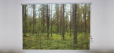 Thin tree forest Roller Shade