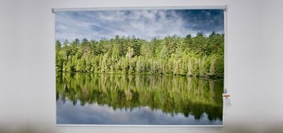 Tree and lake image Roller Shade
