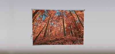 Autumn forest Roller Shade