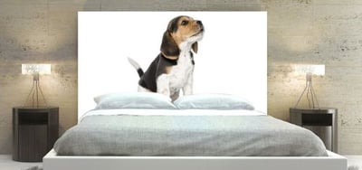 Beagle howling Headboard