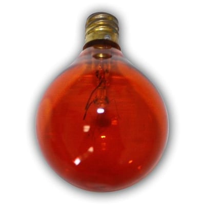 Aspen MC903A String Lights Edison Amber Color Replacement Interned Size 7W Bulb